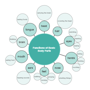 Functions Of Basic Body Parts