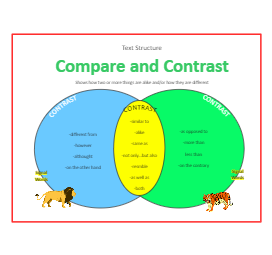 Venn Diagram Compare and Contrast Example