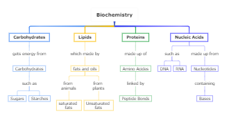 Biochemistry Concept Map