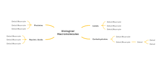 Biological Macromolecules Concept Map