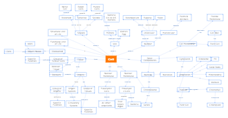 Cell Concept Map