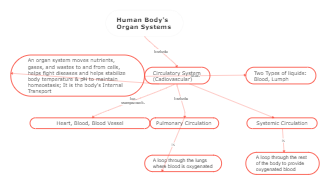 concept map circulatory system critical thinking