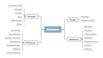 Diseases Concept Map