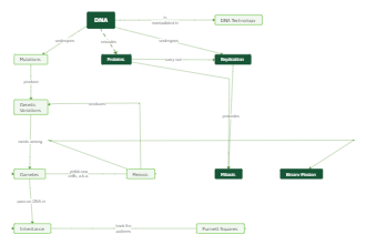 DNA Concept Map