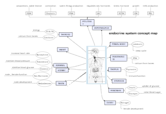 Endorine System Concept Map