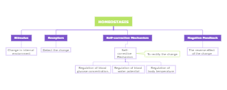 Homeostasis Concept Map Example 1