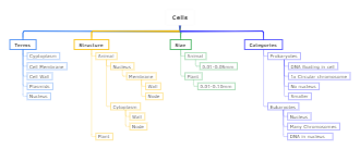 Human Cells Mind Map