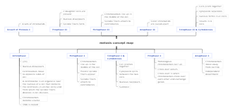 Meiosis Concept Map Example 1