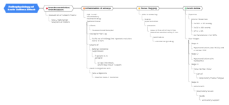 Pathaphysiology of Acute Asthma Attack Mind Map