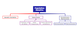 Genetics Concept Map