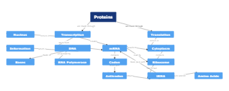 Proteins Concept Map