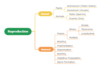 Reproduction Concept Map