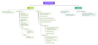 Sexual Reproduction Asexual Plant Reproduction Concept Map