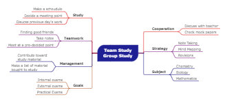 Team Study Mind Map