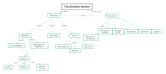 The Skeletal System Concept Map