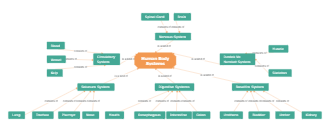 Theories Comprehension Mind Map