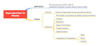 Plant Reproduction Concept Map