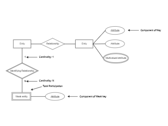 Multivalued Attribute ER Diagram Schema