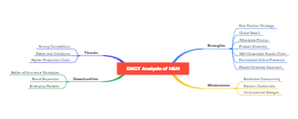 HM SWOT Analysis Mind Map