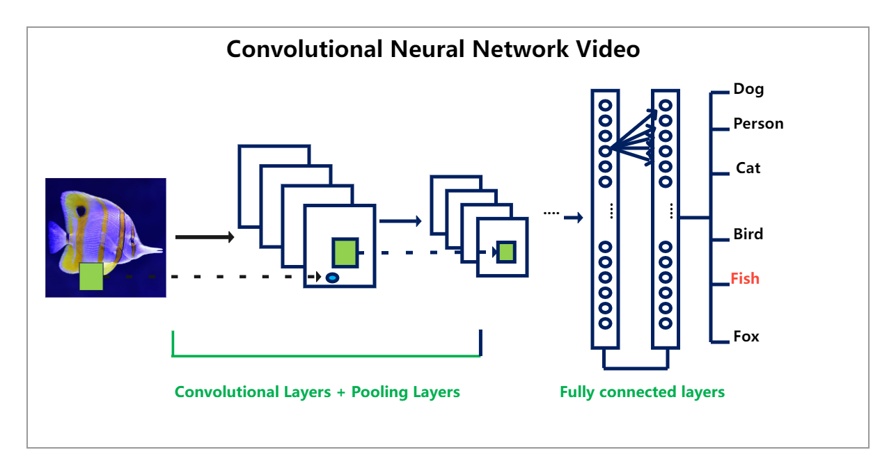 Convolutional Neural Network Video