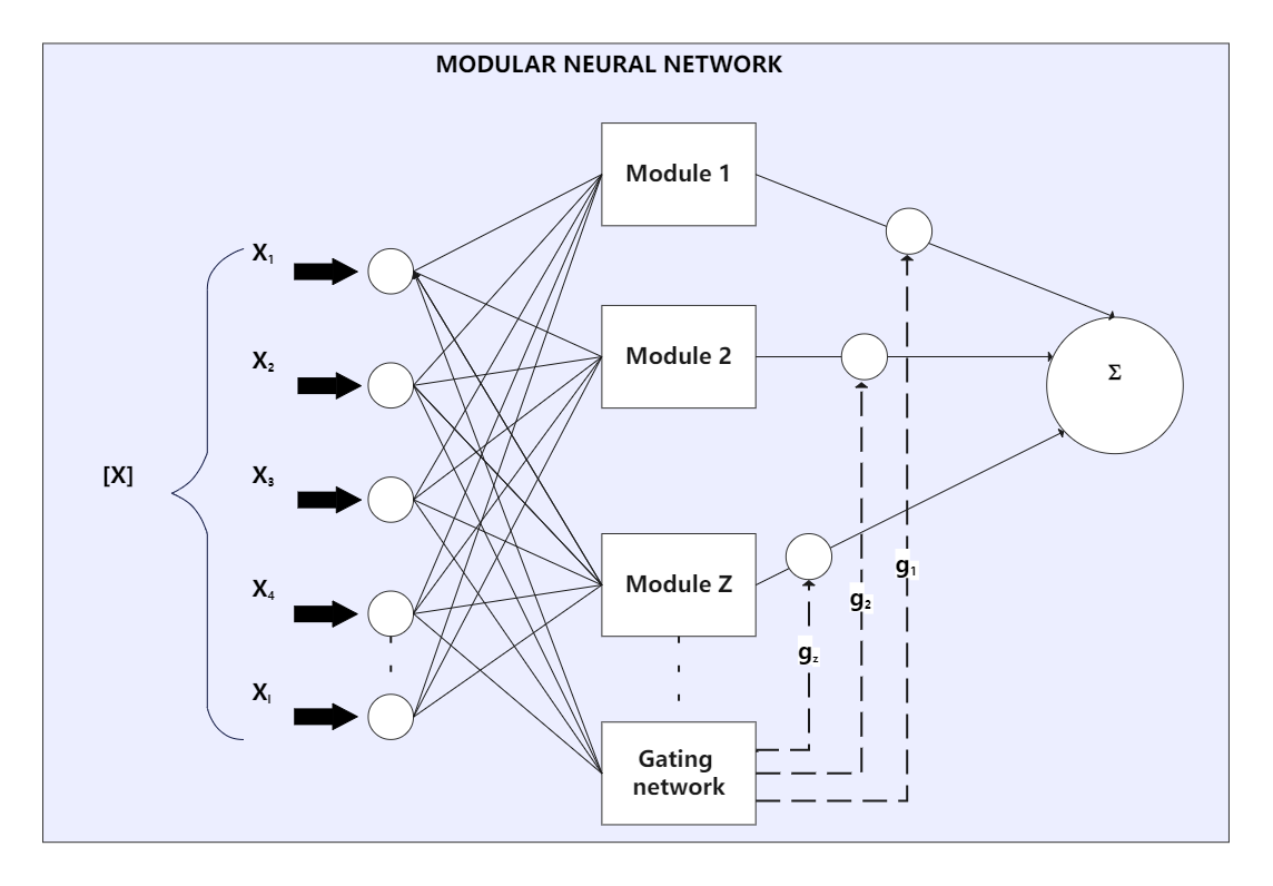 Modular Neural Network