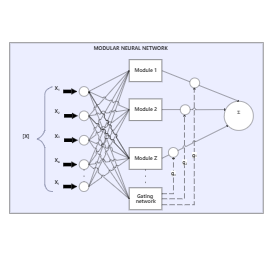 Modular Neural Network