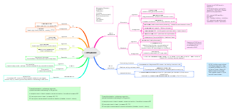 ANS Drugs Concept Map Nursing