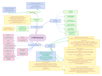 Hypertension Concept Map Nursing