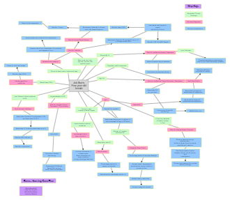 Nursing Care Plan Concept Map Example