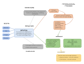 Infection Concept Map Nursing