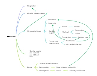 Perfusion Nursing Concept Map