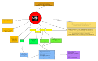 Preterm Labor Nursing Concept Map