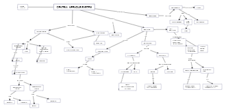 Central Nervous System Concept Map