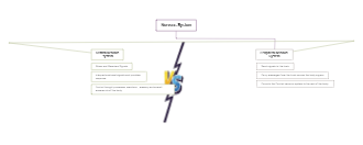 Central Vs Peripheral Nervous System Concept Map