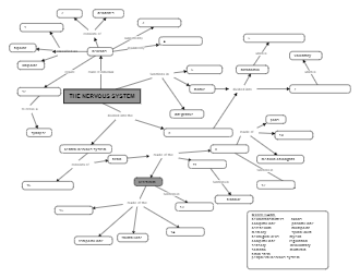 Concept Map of Nervous System