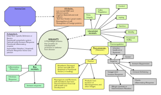 Immune System Concept Analysis Diagram