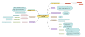 Immune System Concept Map Editable