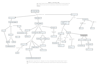 Immune System Concept Map Worksheet Template