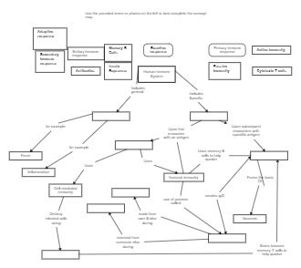 Immune System Concept Map Worksheet