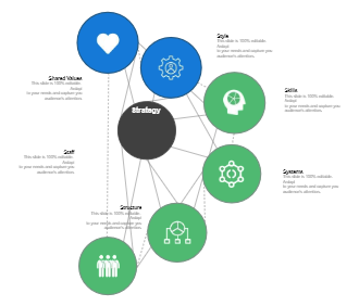 Mckinsey 7S Framework Style Skills System Structure