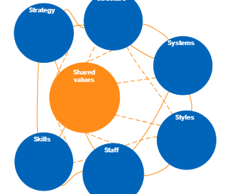 Mckinsey 7S Framework Template