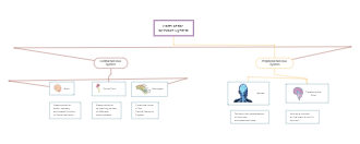 Parts of The Nervous System Concept Map