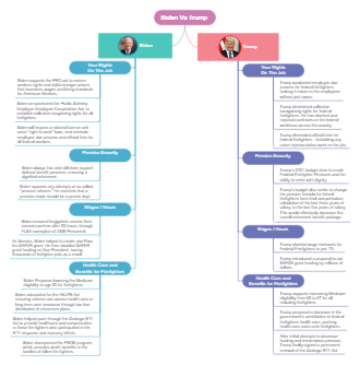 Biden vs Trump Issues Pros and Cons List