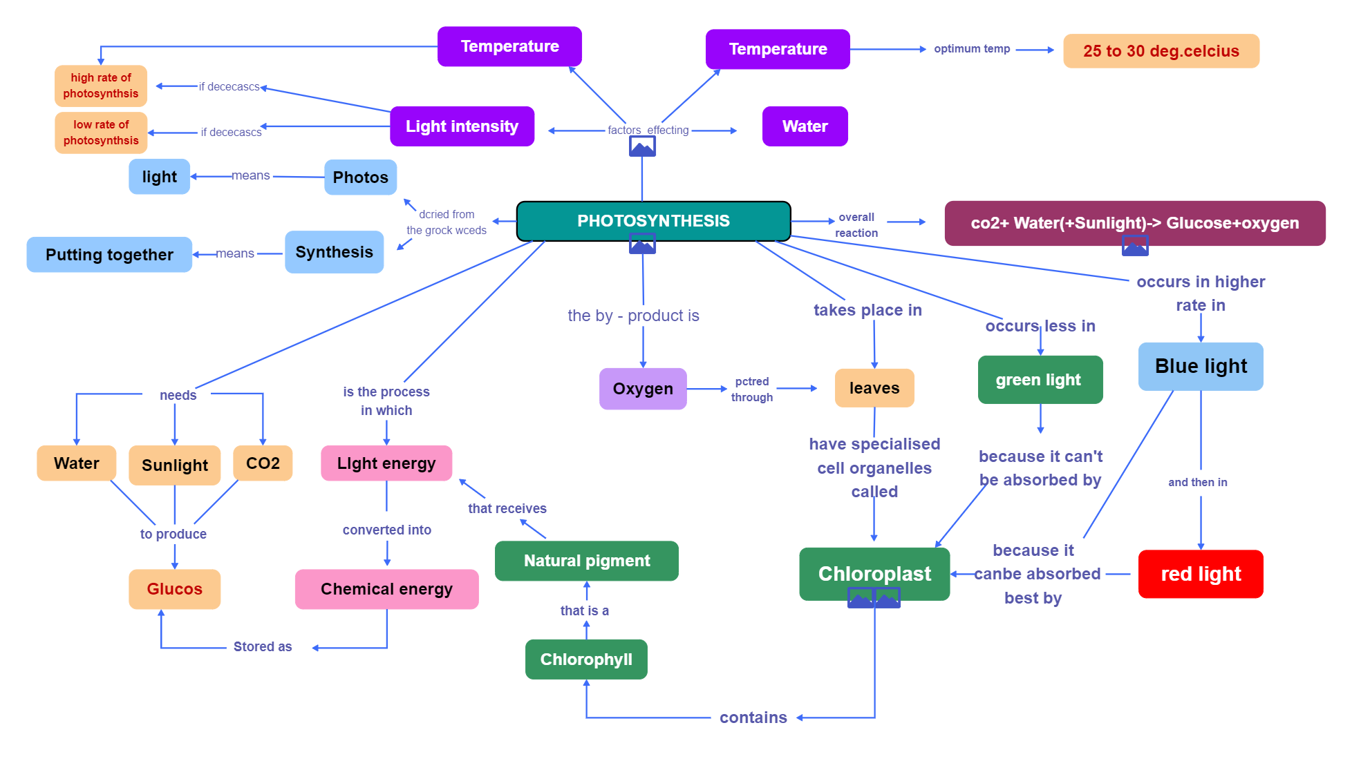 Detailed Concept Map of Photosynthesis