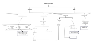 Concept Map of Immune System