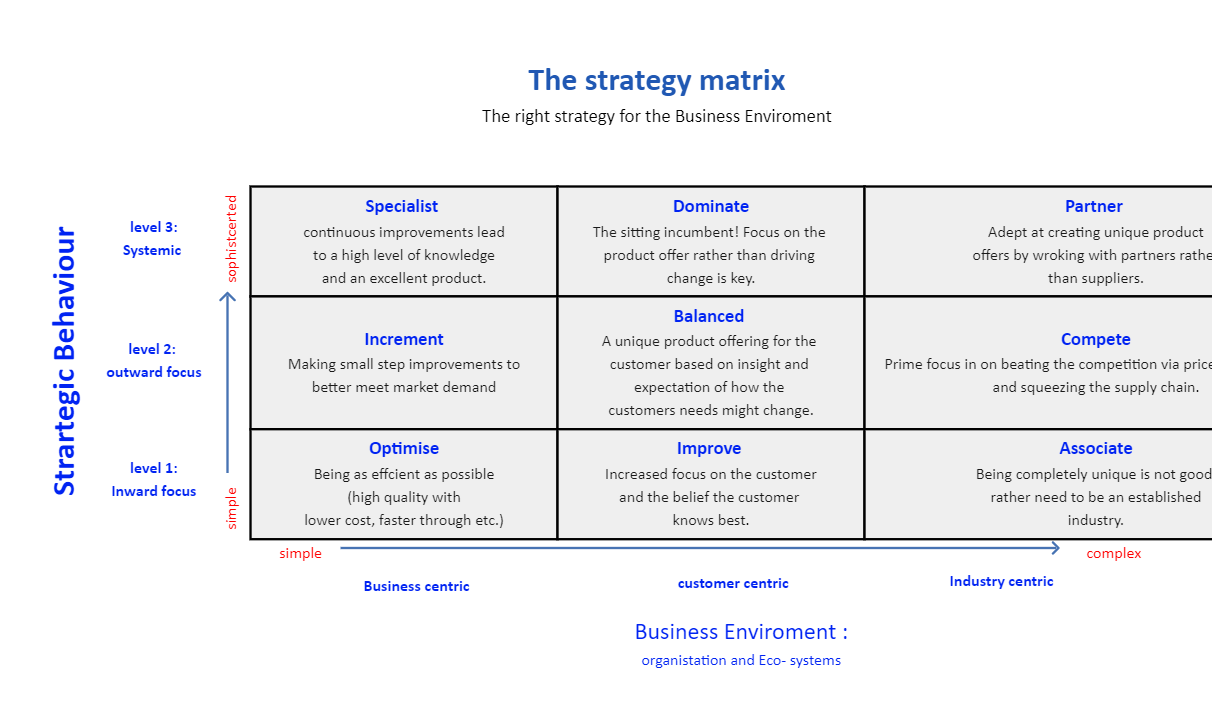 Business Strategy Matrix Example