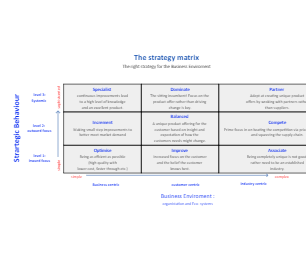 Business Strategy Matrix Example