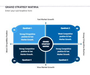 Grand Strategy Matrix Example