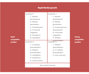 Grand Strategy Matrix Template