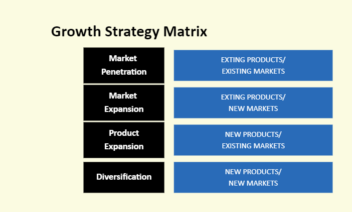 Growth Strategy Matrix Template